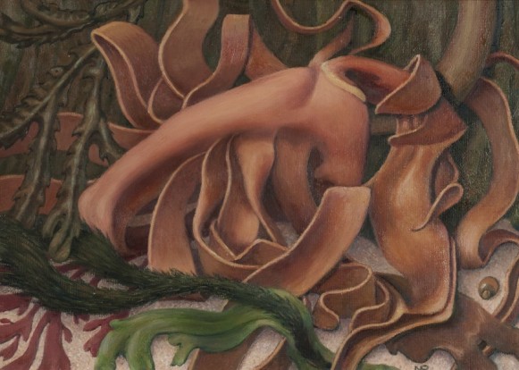 جلبک دریایی درهم اثر مارگارت هلن بارنارد